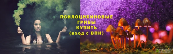 apvp Волоколамск