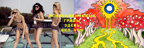 прущие крисы Волосово