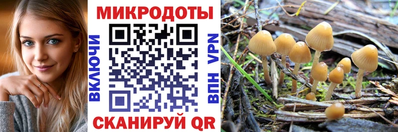 Галлюциногенные грибы Cubensis  где купить   Волгореченск 